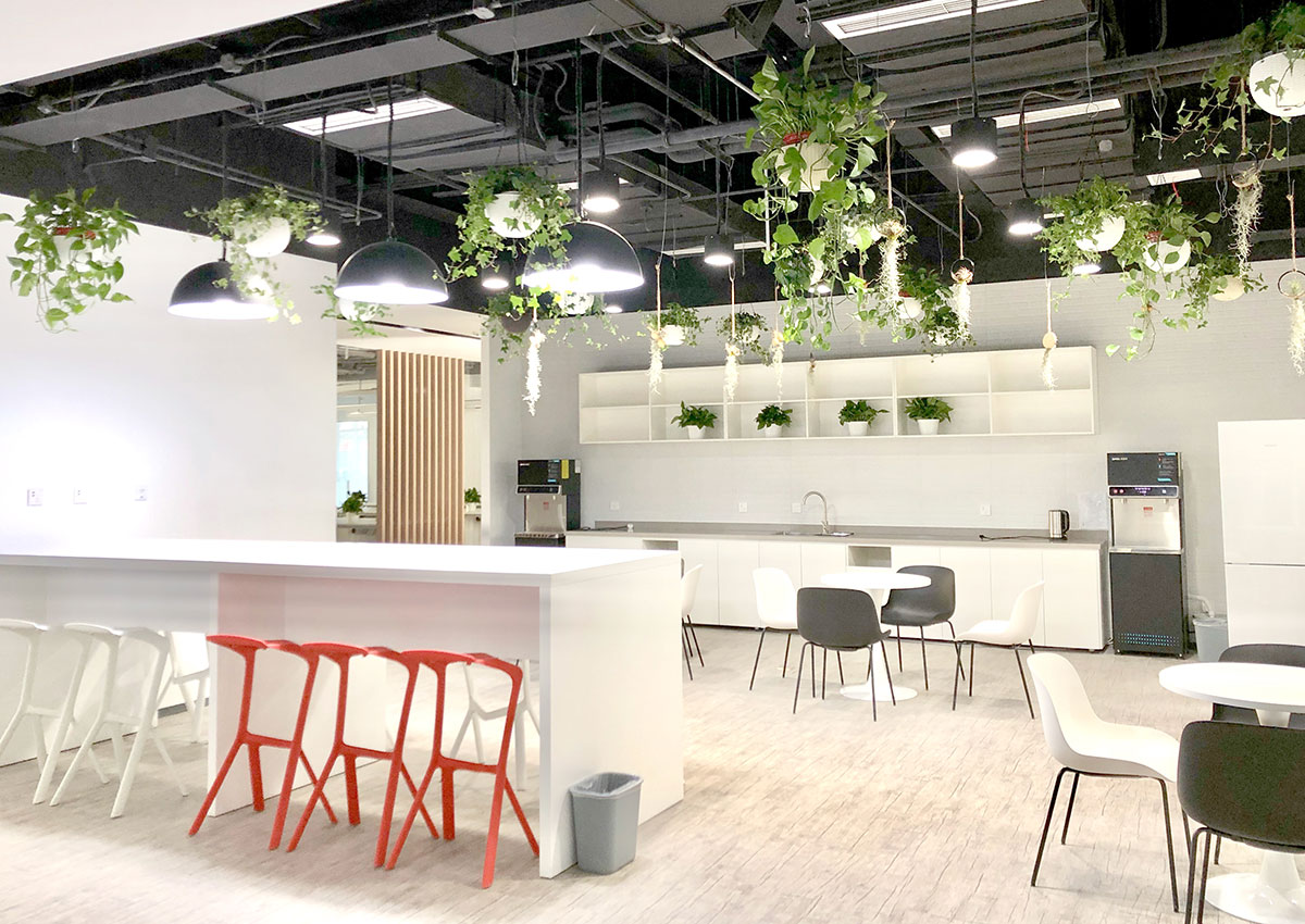 展示图